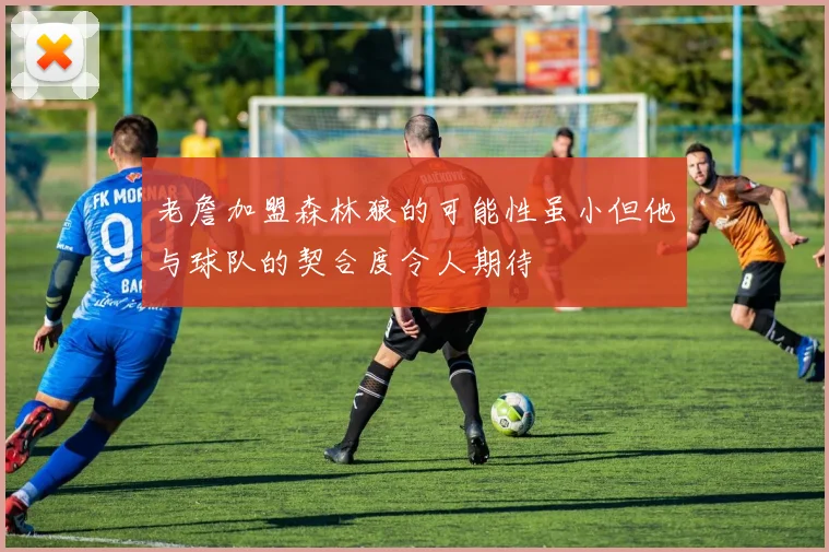 老詹加盟森林狼的可能性虽小但他与球队的契合度令人期待